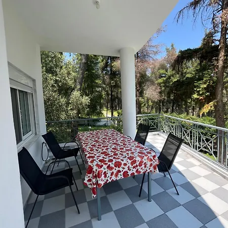 Angie Sani (Chalkidiki)