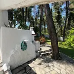 Angie Willa Sani (Chalkidiki)