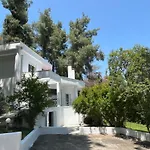 Angie Willa Sani (Chalkidiki)