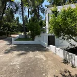 Villa Angie Sani (Chalkidiki)