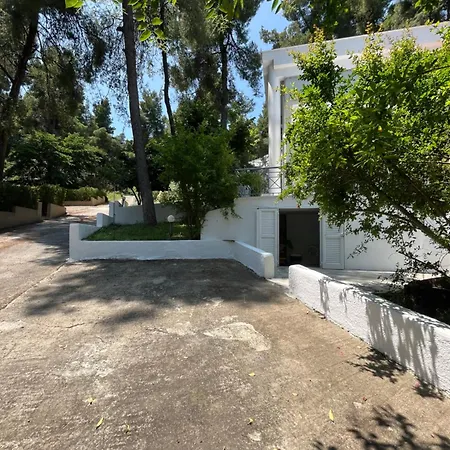 Villa Angie Sani (Chalkidiki)