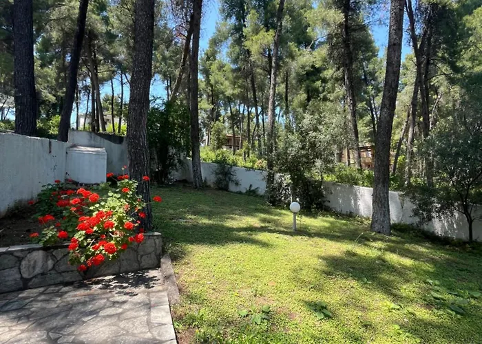 Angie * Sani (Chalkidiki)