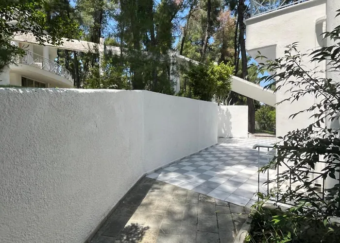 Angie Sani (Chalkidiki)